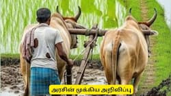 முதலமைச்சரின் உழவர் பாதுகாப்பு திட்டத்தில் விண்ணப்பிக்கலாம் - முக்கிய அறிவிப்பு