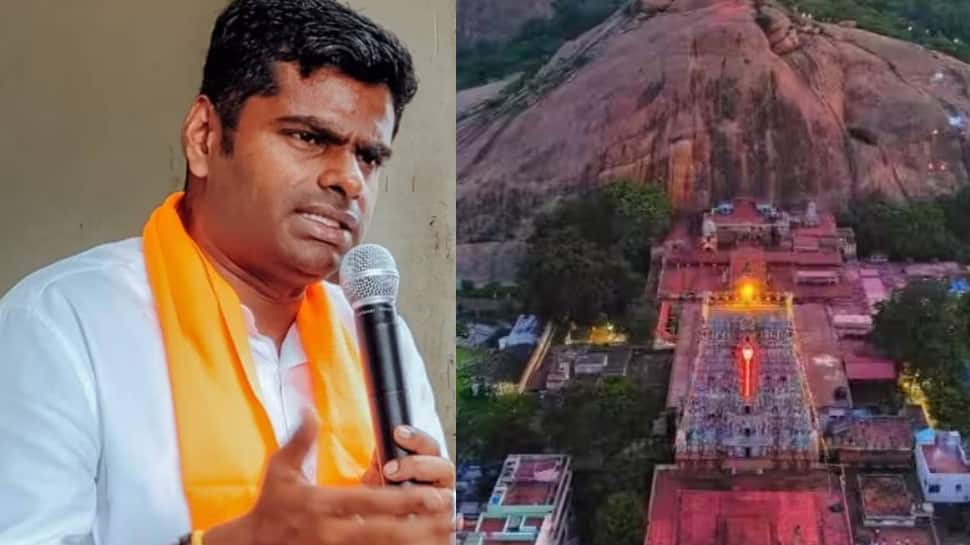 திருப்பரங்குன்றம் மலை யாருக்கு சொந்தம்? 1923இல் வந்த தீர்ப்பு - அண்ணாமலை விளக்கம்