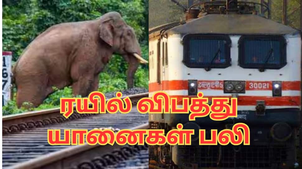 அசாமில் ரயில் விபத்து: 8 யானைகள் பலியான சோகம்... தடம் புரண்ட பெட்டிகள்