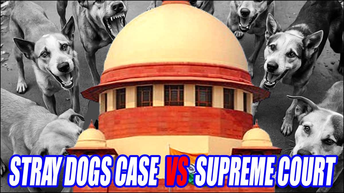 இனி தெரு நாய் கடித்தால் அரசாங்கம் மற்றும் உணவளிப்பவர்களுக்குப் அபராதம்: உச்ச நீதிமன்றம் அதிரடி