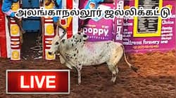 Live: அலங்காநல்லூர் ஜல்லிக்கட்டு; இன்று முதல் சென்னை உலா பஸ்; வந்தே பாரத் ஸ்லீப்பர் ரயில் - அப்டேட்ஸ்