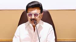 திமுக போட்ட 4 முக்கிய தீர்மானம்! 2026 சட்டப்பேரவை தேர்தலில் ஒவ்வொரு வீடும் டார்கெட்