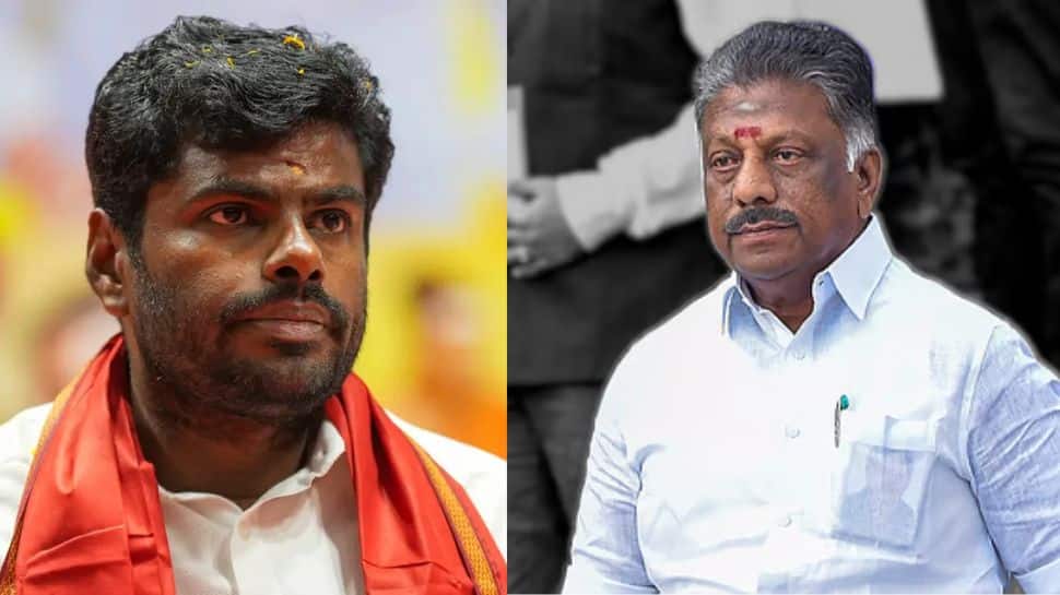 ஓபிஎஸ்க்கு சப்போர்ட் செய்யும் அண்ணாமலை.. பாஜகவின் பலே பிளான்!