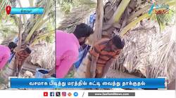 கோழிகள், மின் வயர்களை திருடிய இளைஞர்கள்: கிடைத்த தண்டனை!