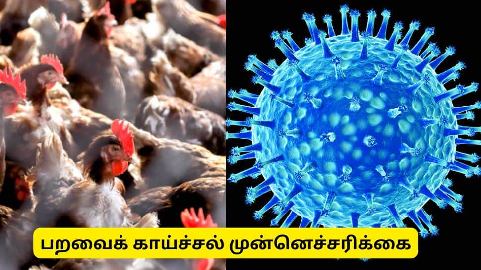 பறவைக் காய்ச்சல்: தமிழ்நாட்டு மக்களுக்கு 12 முக்கிய எச்சரிக்கைகள் - மாவட்ட ஆட்சியர் வெளியீடு