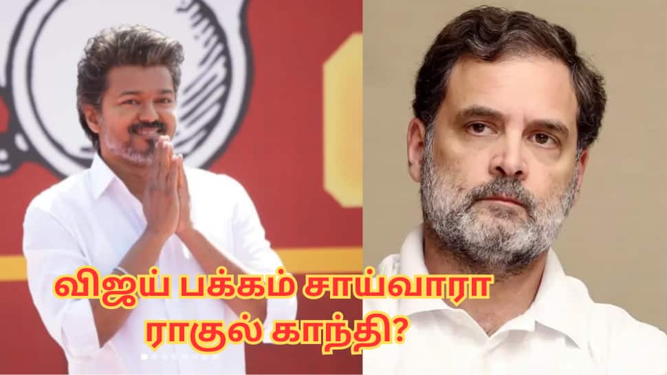 'இனி ஆட்சியில் பங்கு கேட்கமாட்டார்கள்' திமுக வைக்கும் Full Stop - விஜய் பக்கம் சாய்வாரா ராகுல் காந்தி?