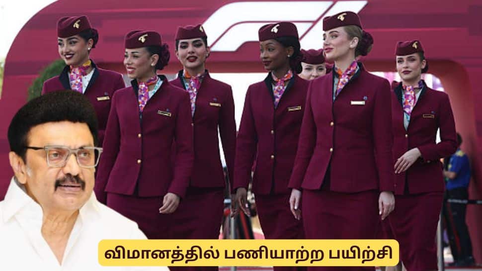 விமானத்தில் வேலை பார்க்க ஆசையா? 12-வது முடித்தவர்களுக்கு தமிழக அரசின் இலவசப் பயிற்சி!