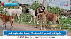 நாய் கடித்து தடுப்பூசி போடவில்லை! 10 நாட்களில் நடந்த விபரீதம்!