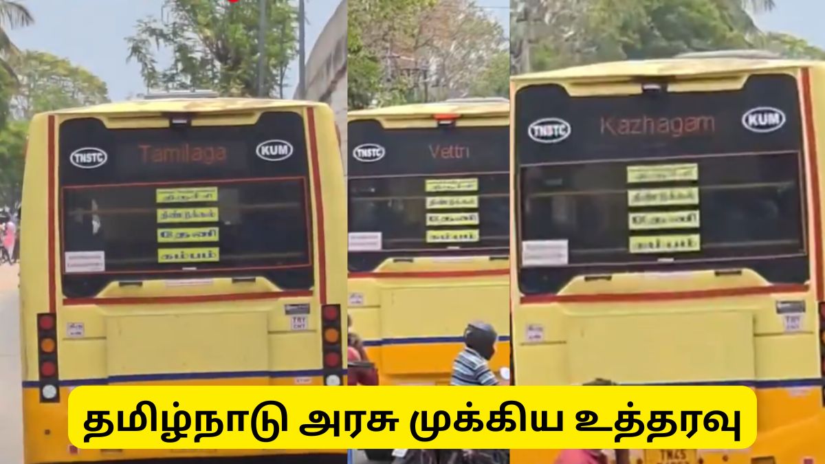 Arasu Bus Arasu bus news News in Tamil, Latest Arasu bus news news, photos ...