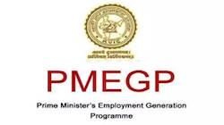 PMEGP திட்டம்: தொழில் தொடங்க மானியம்... மத்திய அரசின் மாஸ் திட்டம், விவரம் இதோ