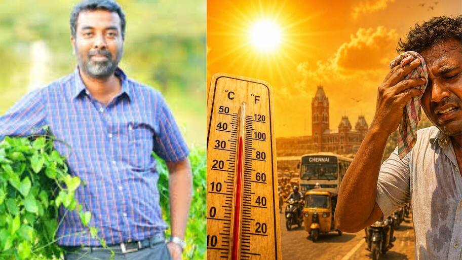 Tamil Nadu Weatherman Pradeep John Latest Heatwave Alert For Chennai ...