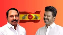 துணை முதல்வர் ஆகிறாரா செங்கோட்டையன்? விஜய் போடும் கணக்கு என்ன?