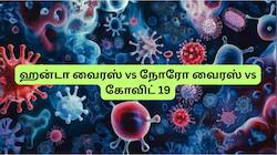 ஹன்டா வைரஸ் vs நோரோ வைரஸ் vs கோவிட் 19: எதில் அதிக ஆபத்து? முழு ஒப்பீடு இதோ