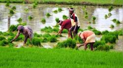 விவசாயிகளுக்கு குட் நியூஸ்.. முதல்வர் விஜய்யின் அதிரடி அறிவிப்பு.. மிஸ் பண்ணாதீங்க