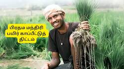 மத்திய அரசின் பயிர் காப்பீட்டுத் திட்டம்: பயிர்கள் சேதமடைந்தால் உடனடி இழப்பீடு!