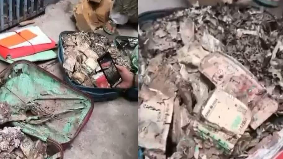 எலே..என் வயிறு எரியுதுலே..ரூ.1 லட்சத்தை தின்று ஏப்பம் விட்ட கரையான்கள்! வைரல் செய்தி