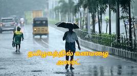 வெளுத்து வாங்கும் கனமழை.. இன்று (ஜூன் 11) 11 மாவட்டங்களுக்கு அலர்ட்