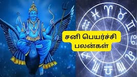 சனி பெயர்ச்சி பலன்கள்: இந்த 4  ராசிகளுக்கு செல்வம், அதிர்ஷ்டம் பெருகும்