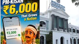 பிஎம் கிசான் திட்டத்துக்கு விண்ணப்பிப்பது? தேவையான ஆணவங்கள் - தமிழ்நாடு அரசு அப்டேட்