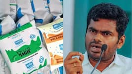 பொய் விளக்கமளிக்கும் ஆவின்! பச்சை நிற பால் பாக்கெட் விவகாரம்.. அண்ணாமலை காட்டம்!