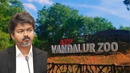 வண்டலூர் உள்பட  3 பூங்காவில் இலவச அனுமதி.. எப்போது தெரியுமா? அதிரடி அறிவிப்பு