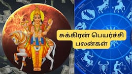 இன்னும் 2 நாளில் சுக்கிர பார்வை! இந்த 4 ராசிகளுக்கு ராஜயோகம்