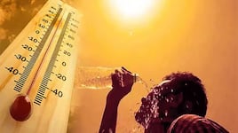 தமிழக மக்களே உஷார்! மதுரை, சேலம் உட்பட 19 மாவட்டங்களுக்கு 'வெப்ப அலை' எச்சரிக்கை!