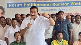 பள்ளிக்கரணை சதுப்பு நிலம்: CM விஜய் இதை உடனே செய்ய வேண்டும் - அன்புமணி கோரிக்கை