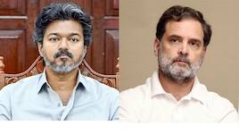 "விஜய் - ராகுல் உறவில் நரி வேலைகள்".. மாணிக்கம் தாகூர் ஓபன் டாக்!