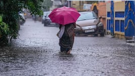 கொட்டப்போகும் மழை.. அடுத்த நாட்களுக்கு கனமழை அலர்.. லேட்டஸ்ட் வானிலை அப்டேட்