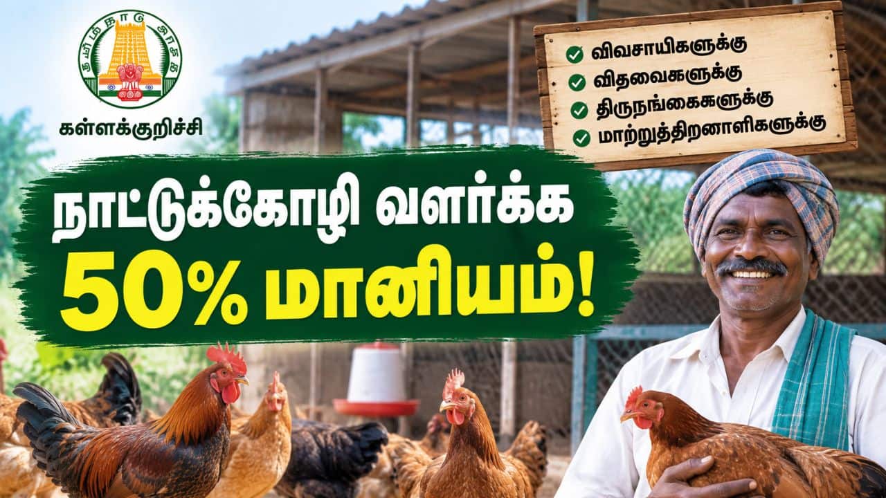 கள்ளக்குறிச்சியில் 50% மானியத்தில் நாட்டுக்கோழி வளர்ப்புத் திட்டம்