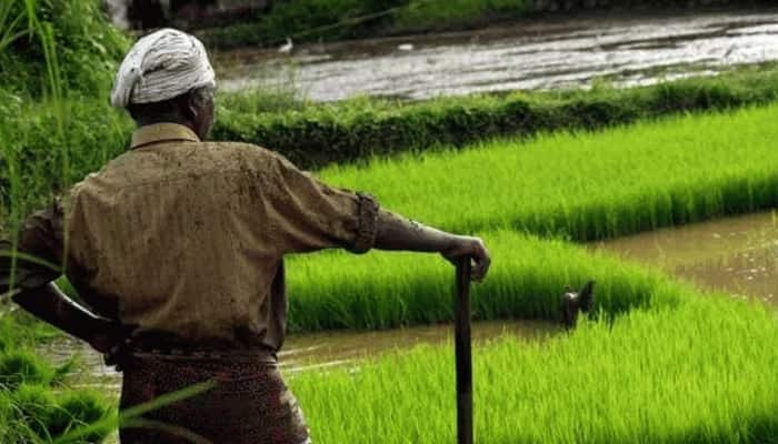 Image Of Farmers