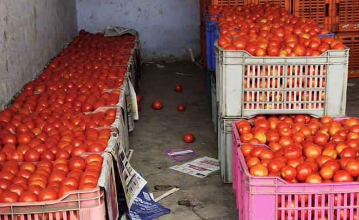 Tomato,theft,apple,salem,Chinraj,தக்காளி