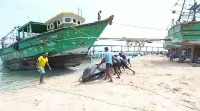 Fishing,fisherman,Fishing ban,period,Rameswaram,ராமேசுவரம்,மீன்பிடித் தடைக்காலம் ,கடல் ராசாக்கள்,கடல் மீன்,தடைக்காலம் 