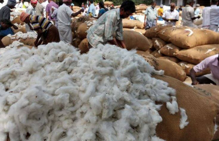 Cotton yarn price,Textile industry,Agriculture,Economy,ஜவுளித் தொழில்,பருத்தி நூல் விலை 