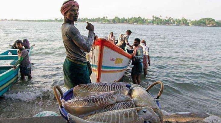 Fishing,fisherman,Fishing ban,period,Rameswaram,ராமேசுவரம்,மீன்பிடித் தடைக்காலம் ,கடல் ராசாக்கள்,கடல் மீன்,தடைக்காலம் 