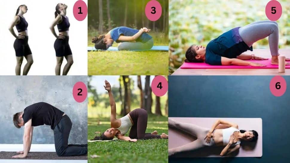 Yoga Asana