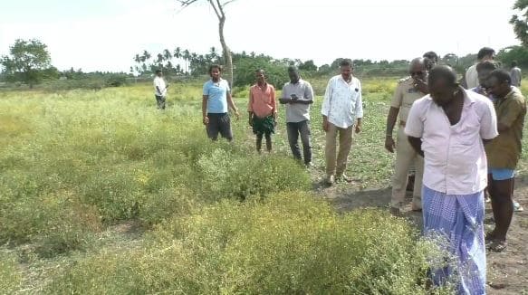 திருவண்ணாமலை, விறகுவெட்ட சென்ற பெண்,கழுத்தறுத்து கொலை,ஆணாய்பிறந்தான்,வழக்குப்பதிவு,அலறல் சத்தம்,பெண்