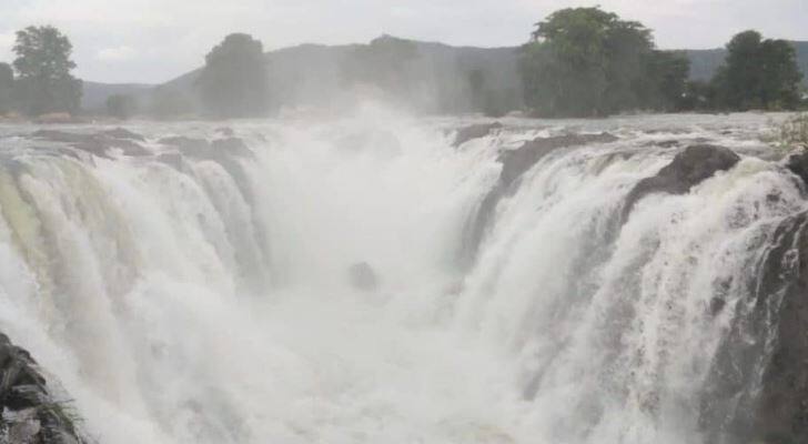 Cauvery River Flood warning,ஒகேனக்கல் காவிரி ஆற்றில் வெள்ளப்பெருக்கு 