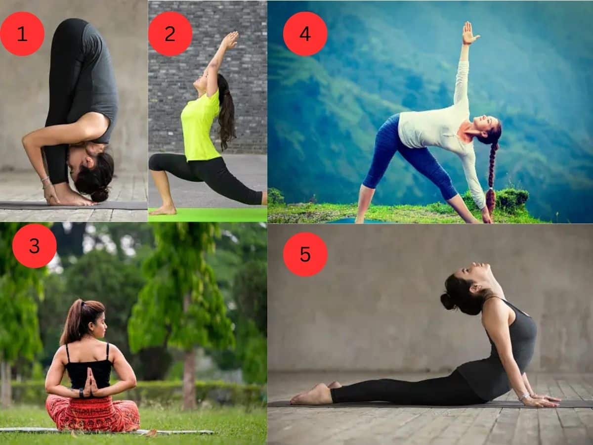 Tollywood actresses' yoga poses for tranquillity | Times of India