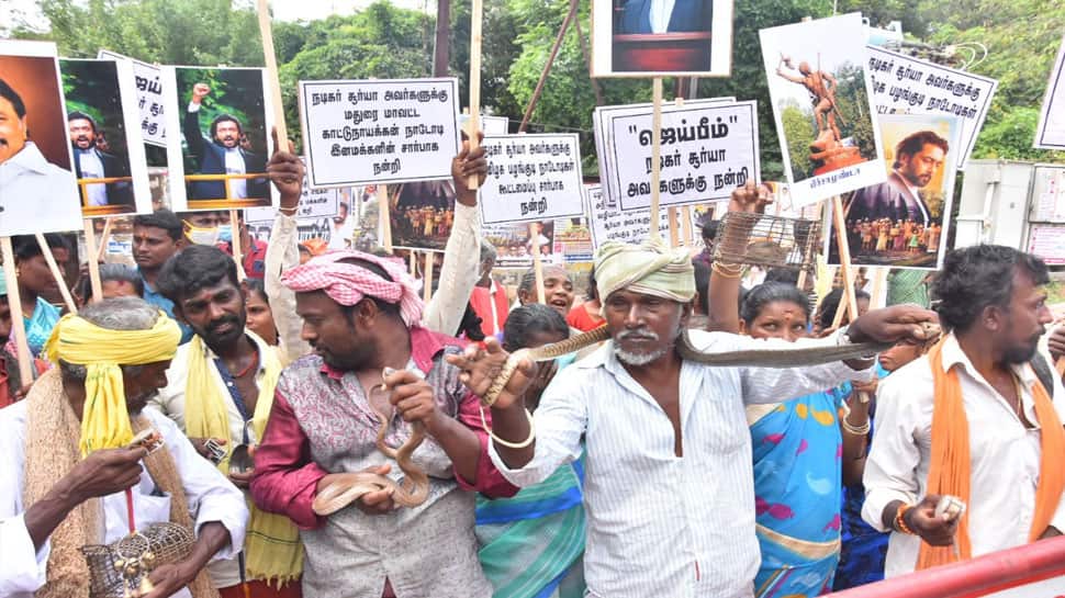 Jai Bhim latest news tribal people protest in support of Actor Surya | ஜெய்  பீம் படத்துக்கு வலுக்கும் ஆதரவு: பாம்புகளை ஏந்தி பழங்குடியினர் போராட்டம் |  Tamil Nadu News in Tamil