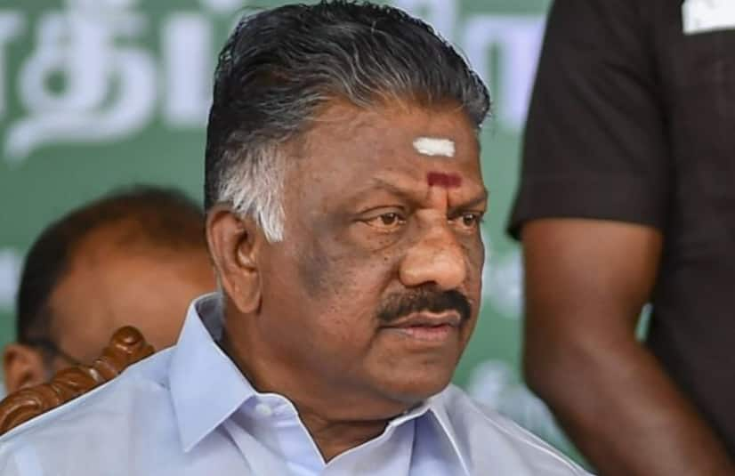 Panneerselvam