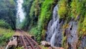 Ooty Train: மீண்டும் சேவையைத் தொடங்கிய Queen of hills மலை ரயிலில் பயணிப்போமா?