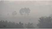 Delhi Air Pollution: மோசமான காற்று தரத்திலும் அழகில் ஜொலிக்கும் தலைநகரம்