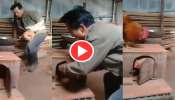 Viral Video: ‘என் ஆளை விடுங்க’; கோழிக்காக சேவல் போட்ட சண்டை வீடியோ!