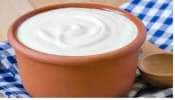 Curd: தயிர் &#039;Brain Food&#039; என அழைக்கப்படுவதன் காரணம் தெரியுமா..!!