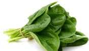 Spinach: ரத்த சோகையை விரட்டும் கீரை