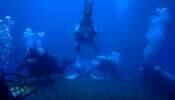 Under Water Chess | கடலுக்குள்ளும் செஸ் விளையாட்டு; அசத்தும் ‘தம்பி’