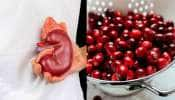 Food For Kidney: சிறுநீரகத்தை சுத்தம் செய்யும் உணவுகள்