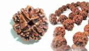 Rudraksha: எத்தனை முக ருத்ராட்சம் அணிவது சிறப்பு!